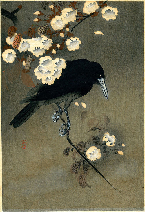 idionkisson:dreamsinthyme:Woodblock print circa 1910 by Ohara Koson (1877-1945)“Crow and Blossom” (p
