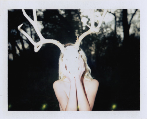 Antlers at Dusk.Lauren, photographed by Me on Fuji 100C.
