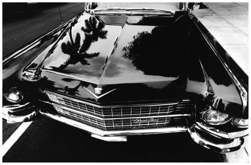 Cadillac on Worth Avenue, Palm Beach, Florida 1967photo; Frank Paulin