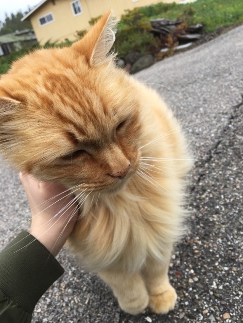 soda-bee:I made a new friend today!!!