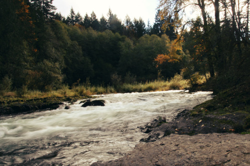 Cowichan River TrailVancouver Island | 2015