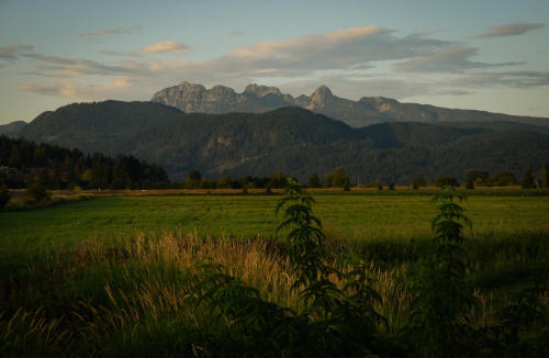  Golden Ears by Ian Threlkeld 