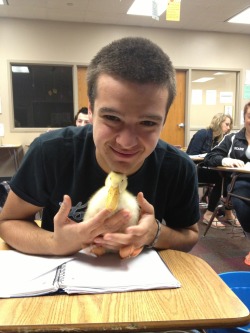 Teenytigress:  Duck Update: Today We Had A Fire Drill And He Carried The Ducky Outside