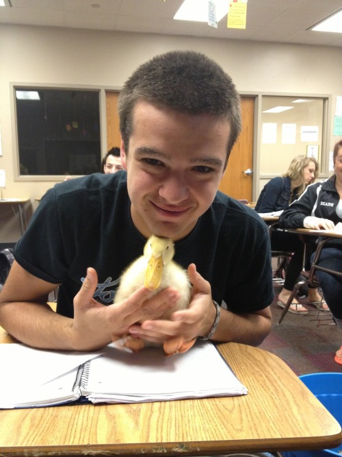 Duck Boy - The SagaIt started as a bio project&hellip; ended with an empty hole on everybod