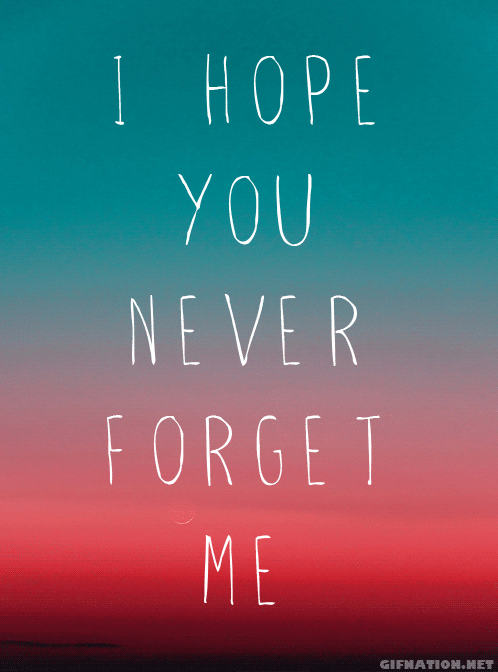 silly-luv:  ♡ find your best posts on my blog ♡