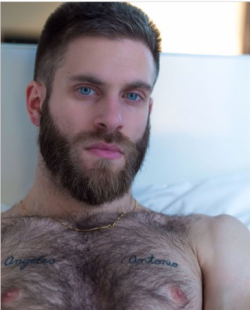 papillon52:  yummyhairydudes:  Gorgeous Hairy Bearded MAN