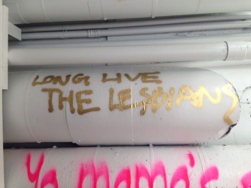 queergraffiti: vulcan-doctor: Long live graffiti. &ldquo;long live the lesbians&rdquo; - see
