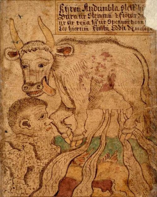 The primeval cow Auðumbla in the 18th-century Icelandicmanuscript SÁM 66.In Norse mythology, Auðumbl