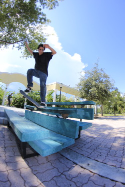 californiacondor:  Crook - Thomas Cerenzia. Photo : MIkey Chavez. 