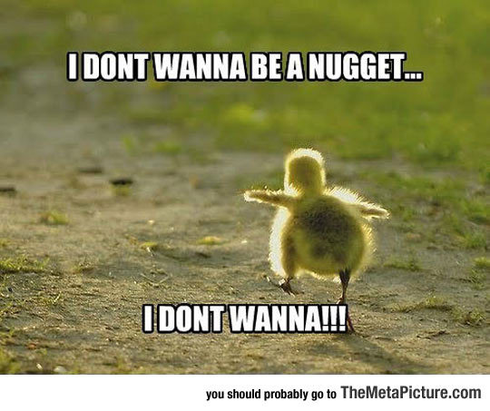 thingsmakemelaughoutloud:  No, I Don’t Wanna!- Funny and Hilarious -