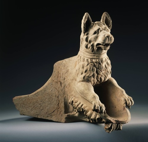 museum-of-artifacts:Roman Waterspout in the form of a hound, early 1st century A.D. Terracotta