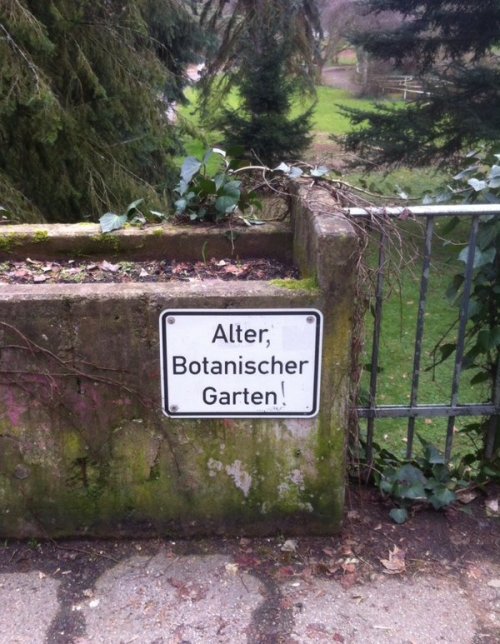 unfugbilder:wohl in Abgrenzung zu: “Alter: Botanischer Garten!”