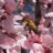bumbleblossoms:Good luck today with all of the things you may be doing. I know today might be tough, but you’re tougher. You got this.