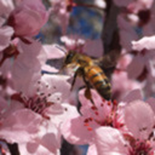 bumbleblossoms:Good luck today with all of the things you may be doing. I know today might be tough, but you’re tougher. You got this.