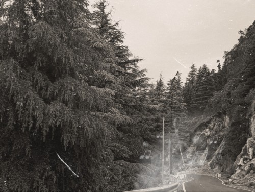 When All The Grey Settles, And The Narrow Lanes Wane, The Softness Trembles- Anger Remains. -anneshwa
