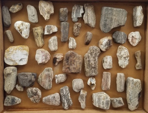 arkansasrockshop
