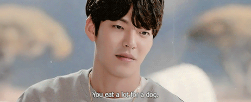 kimwoobinseyebrows:the important things to tell your dog when you only have a year to live. (&l