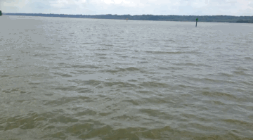 imessaged:  this is fun to watch 