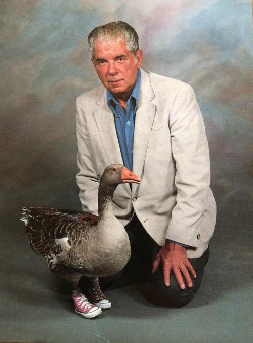 Andy (1987-1991) was a grey goose born without feet. His caretaker, the inventor and disability-rights activist Gene Fleming, successfully managed to teach him how to walk, swim and fly using sneakers Check this blog!