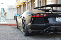automotivated:  LP900-4 Molto Veloce (by