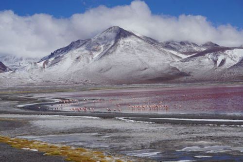 Laguna Colorada (Bolivia) was&hellip;FREEZING! However, it was one of the most beautiful places 