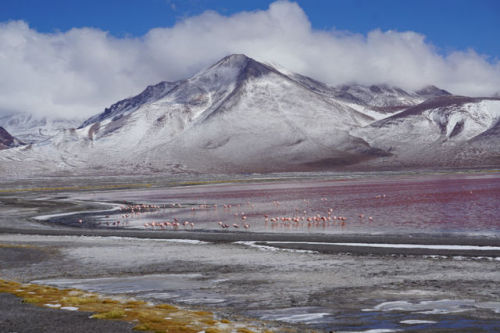 Laguna Colorada (Bolivia) was…FREEZING! However, it was one of the most beautiful places I&rs