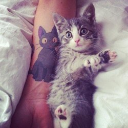 evilkittyky:  tattoome:  - Do you like cats?