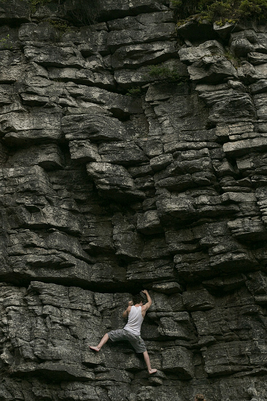 z-arb:  by  Ben Zank on flickr 