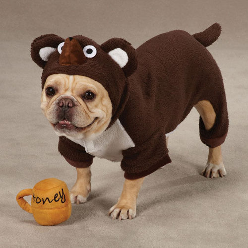 dutchster:  theirs: a zoo of dogs dressed up as other animals   