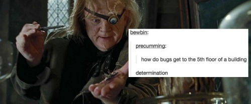 alicelongbottem:  Hogwarts DADA professors through the years 