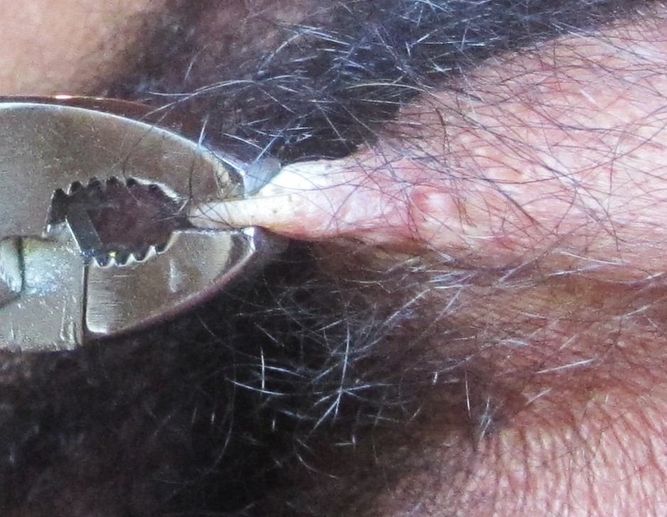 lockedanimal:  Sir squeeze that meat Sir 