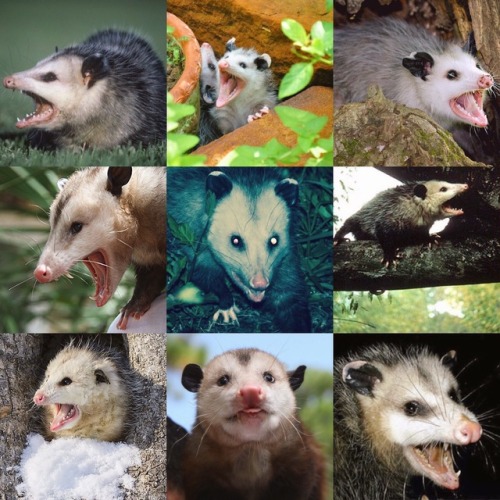 vyssal: My finest collection of Moods Featuring hit favorites such as : “AAAAAAAAAAAAAAAmlemAA