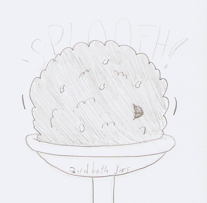thedenofravenpuff:  Careful when you mix baby birbs with birdbaths. Especially the
