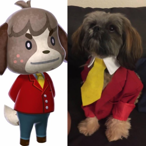 animalcrossing: Happy National Puppy Day!