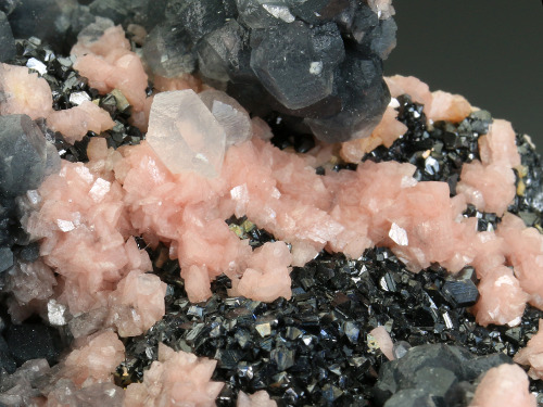 bijoux-et-mineraux:  Rhodochrosite with Calcite on Sphalerite - Trepca Complex, Trepca Valley, Kosovska Mitrovica, Kosovo 