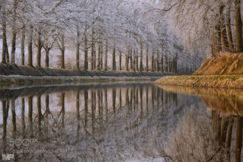 Winter Reflections III by martinpodt