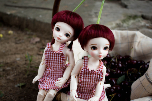 luciadollstudio:Cherry USD BJD Photo shoot 2/  루시아돌 체리 USD 구체관절인형 화보2  As soon as it stopped raining