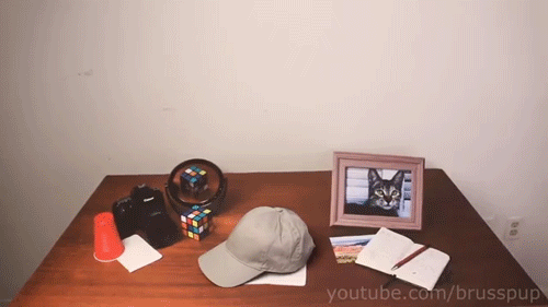 sizvideos:Amazing Anamorphic Illusions (Video)