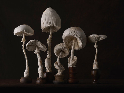 crossconnectmag: New Toadstool Sculptures Crafted From Vintage Textiles by Self-Taught Artist  