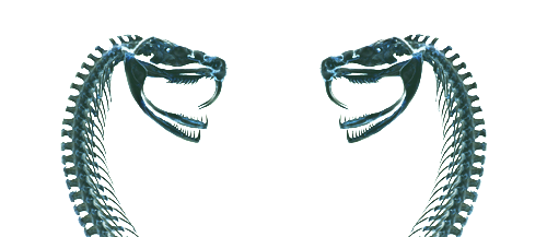 dearsansa: I dreamt of a maid at a feast with purple serpents in her hair, venom dripping from their
