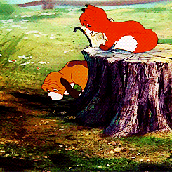 Disney Appreciation