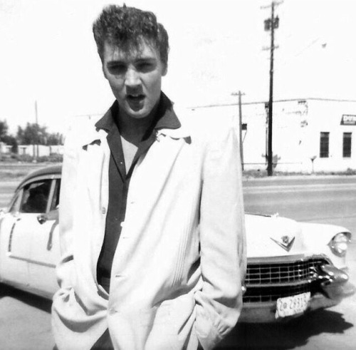 elvis-pink-cadillac:  Dashing