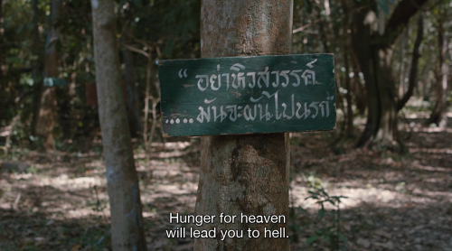 cemetery of splendour (2015) / dir. apichatpong weerasethakul