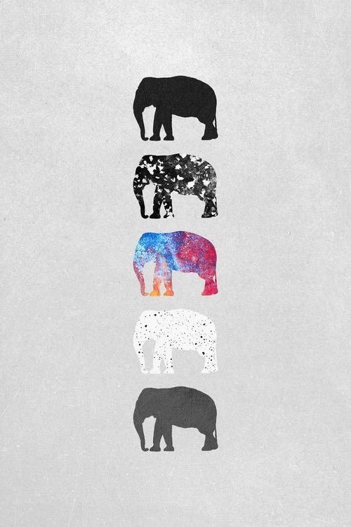 •elephants• •have a wonderful day• •credit to original creators•