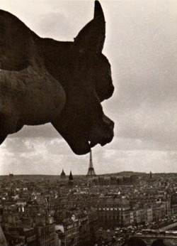 Robert Doisneau - La gargouille de Notre-Dame,