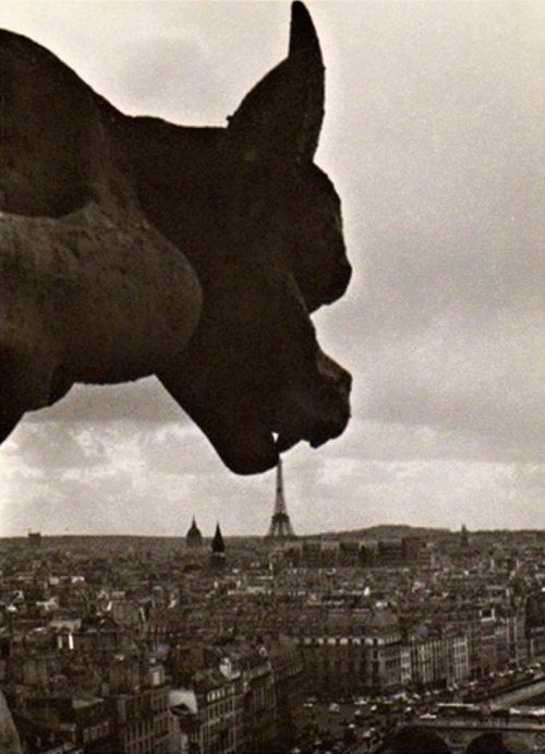 dropboxofcuriosities: Robert Doisneau - La gargouille de Notre-Dame, 1969.