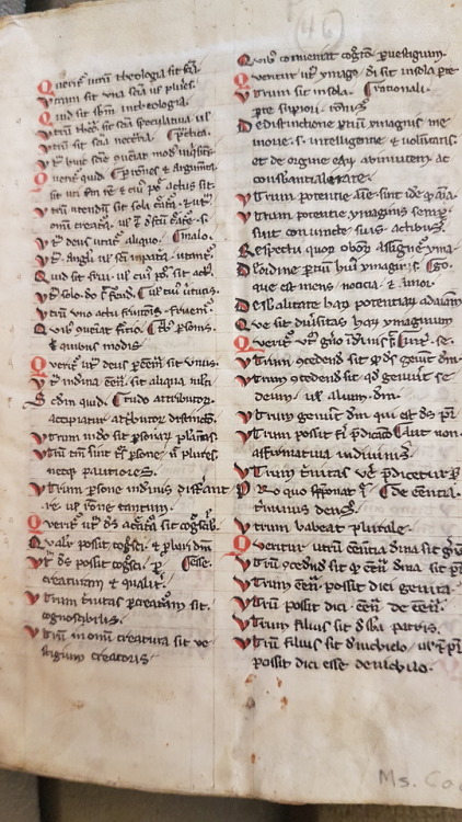 Ms. Codex 686 -[Abbreviation of Peter of Tarentaise&rsquo;s commentary on Peter Lombard&rsquo;s Sent