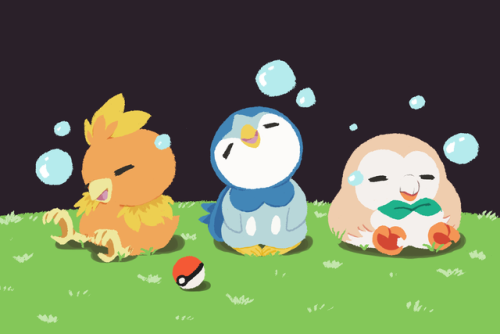 Bird type starters &lt;3