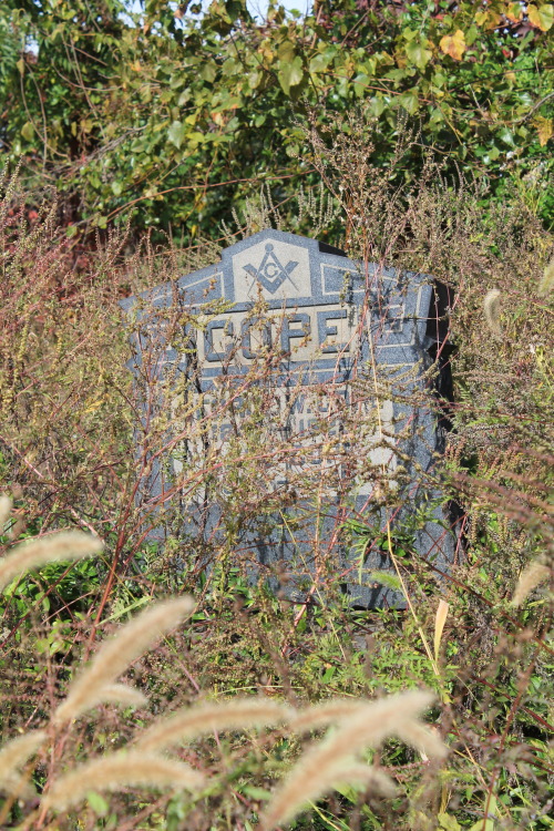 Lonely, overgrown graves at Mount Moriah Cemetery in Philadelphia.