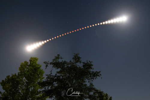 2022 May 19 A Digital Lunar Eclipse  Image Credit &amp; Copyright: Michael Cain  Explanation: Re